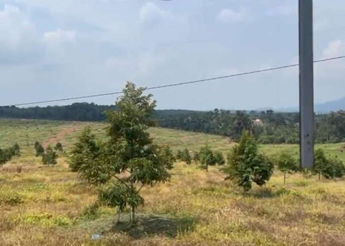 WhatsApp Image 2025-08-29 at 14.56.44_5cb8f2c3