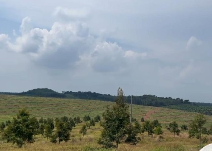 WhatsApp Image 2025-08-29 at 14.56.45_445a8558