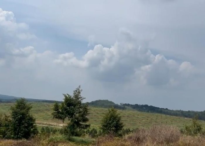 WhatsApp Image 2025-08-29 at 14.56.45_537918d9