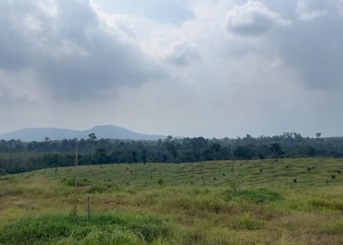 WhatsApp Image 2025-08-29 at 14.56.45_98024e1c